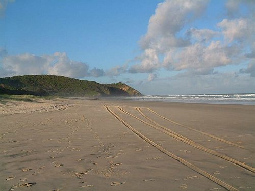 Vild regnskov og &oslash;de strand, Queensland er stedet.<BR>