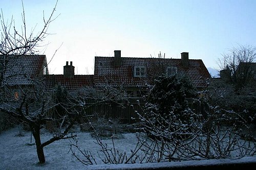 IMG_0676