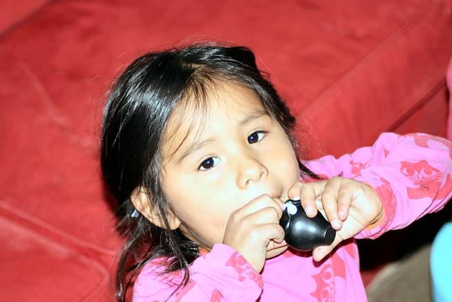 20101120_2518