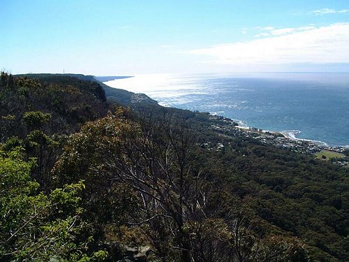 <%FWT_WIZARDTEXT%>